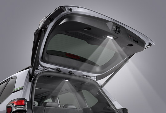 <sg-lang1>LED Cargo Light and LED Rear Gate Light</sg-lang1><sg-lang2></sg-lang2><sg-lang3></sg-lang3>