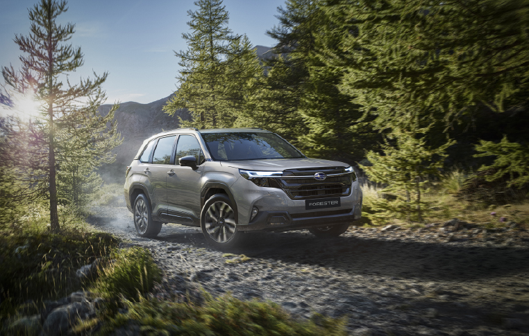 <sg-lang1>Forester</sg-lang1><sg-lang2></sg-lang2><sg-lang3></sg-lang3>